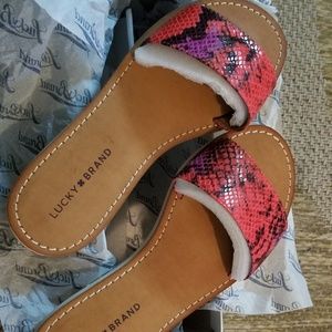 Lucky Brand slide ons...